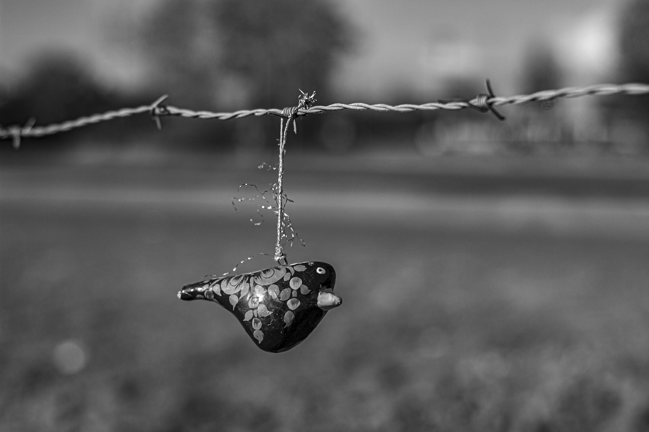 To verify the authenticity of a designer toy, follow these