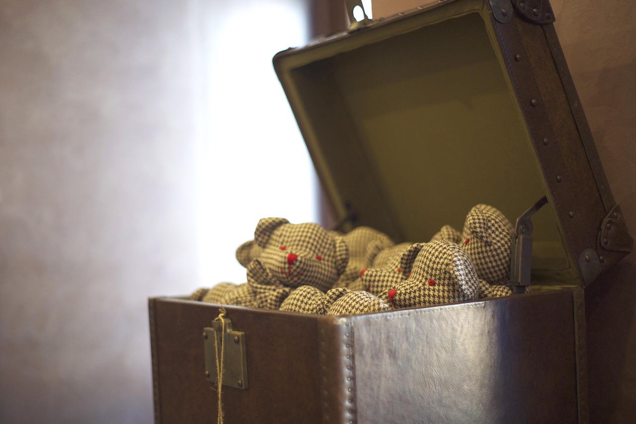 Despite these challenges, the future of designer toy collecting looks